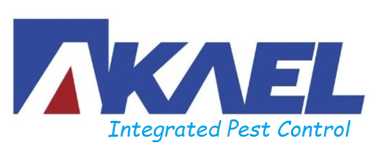 AKAEL Logo